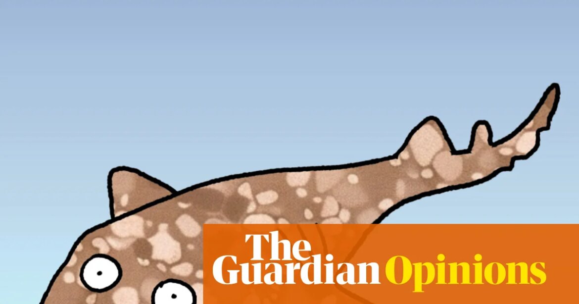 Datacenters – why are they so thirsty? Let's ask a shark! , first dog on the moon

