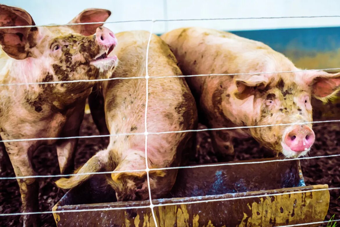 The Washington Post says it will continue AI-generating error-filled podcasts as its own editors groan in embarrassment

