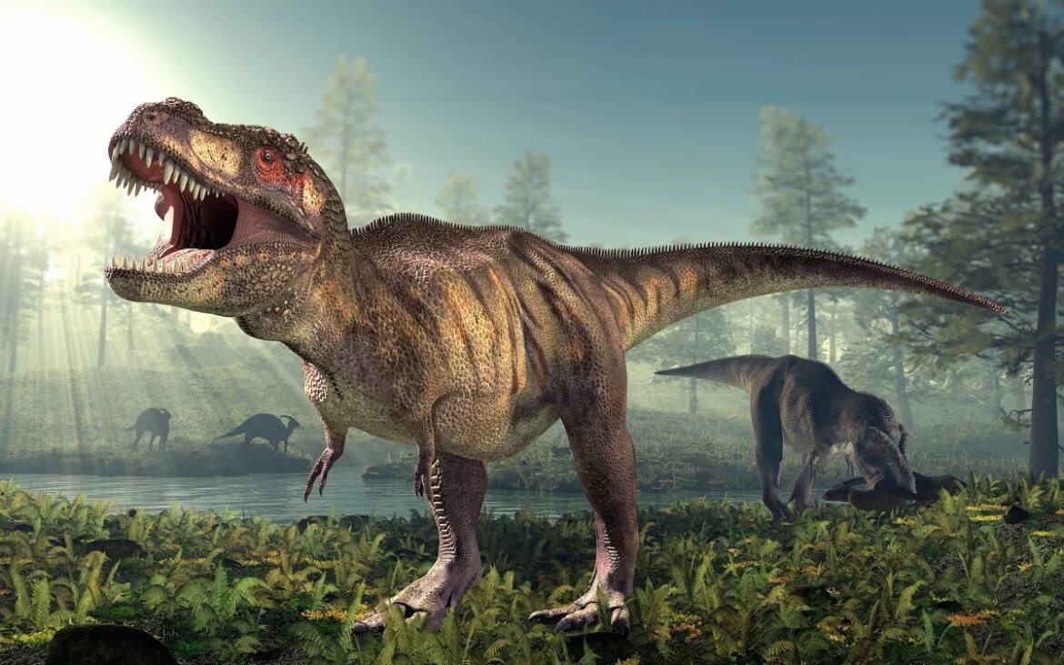 Dinosaur bone study shows T. rex never stopped growing

