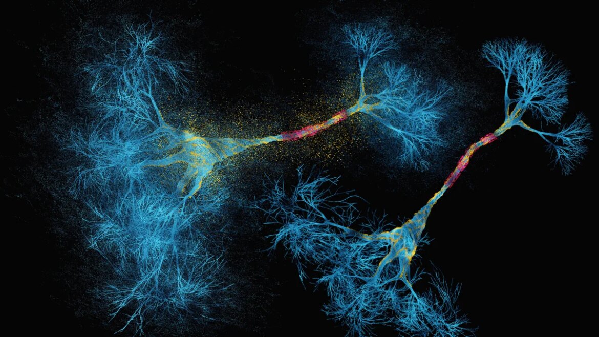 Does string theory solve the mystery of the brain?

