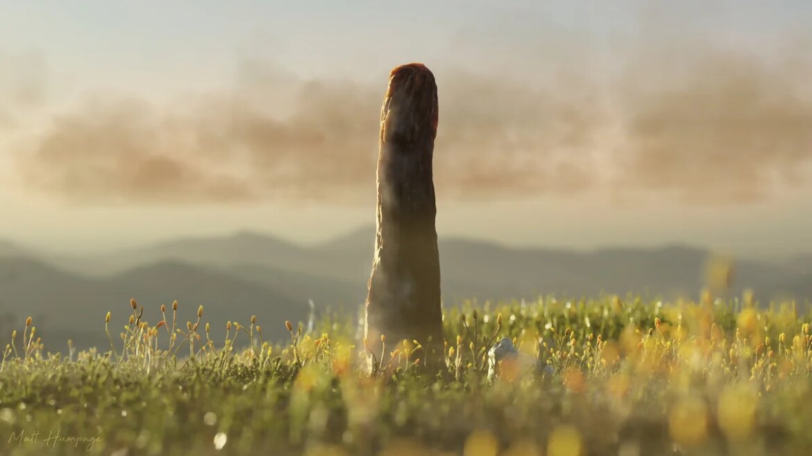 Mystery Prototaxites Tower fossil may represent a newly discovered form of life

