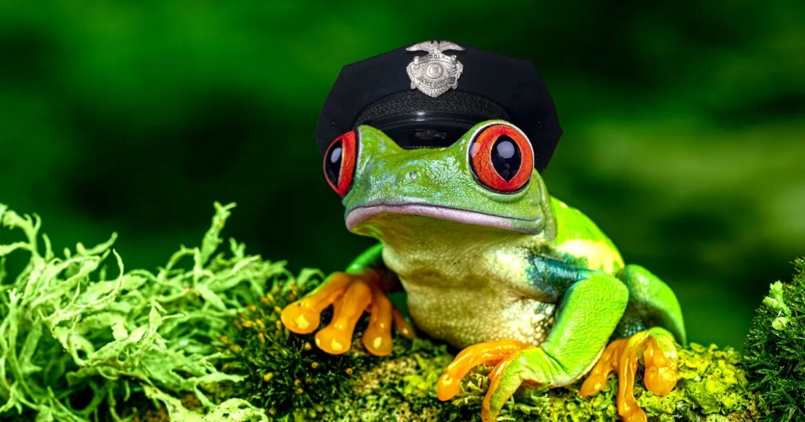 Police forced to explain why officer turned into frog as claimed in AI-generated police report

