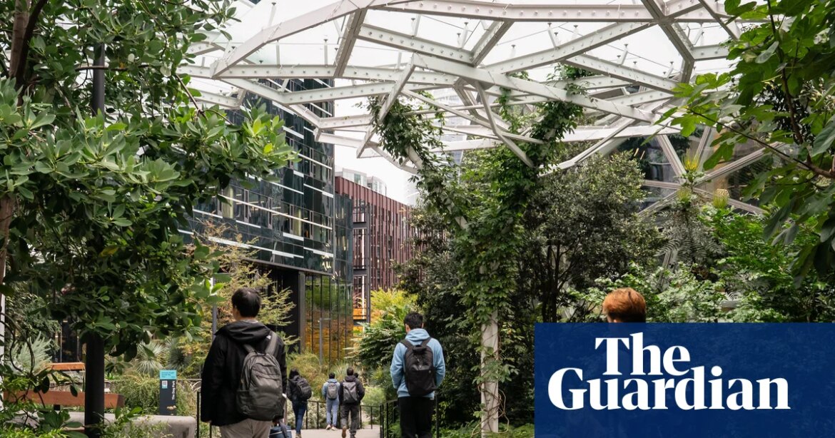 American companies accused of 'AI washing' by citing artificial intelligence as reason for job losses. US news

