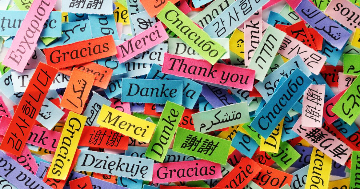 Combating cultural bias in AI model translation

