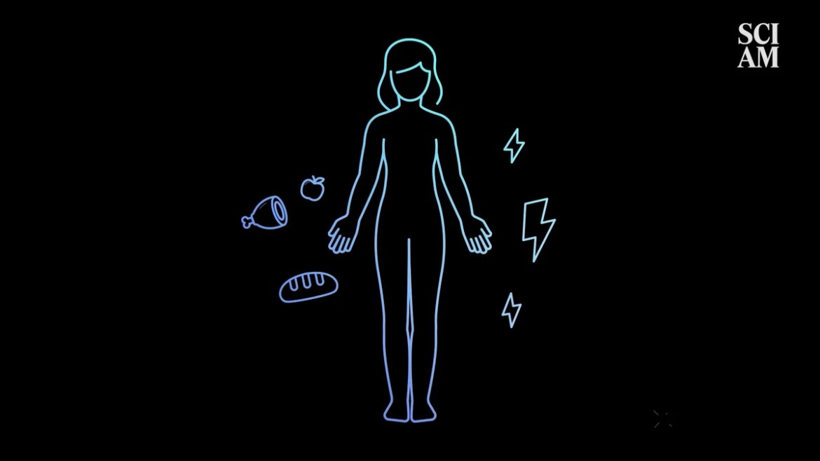 How does Type 1 diabetes really work?

