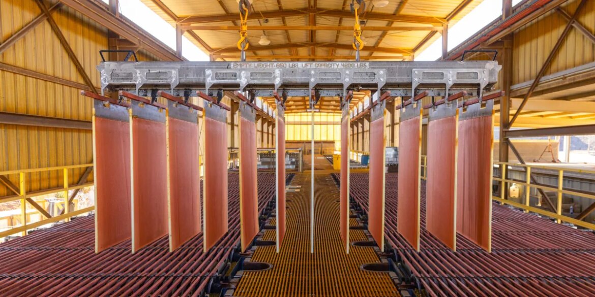 Microorganisms can extract metals needed for cleantech

