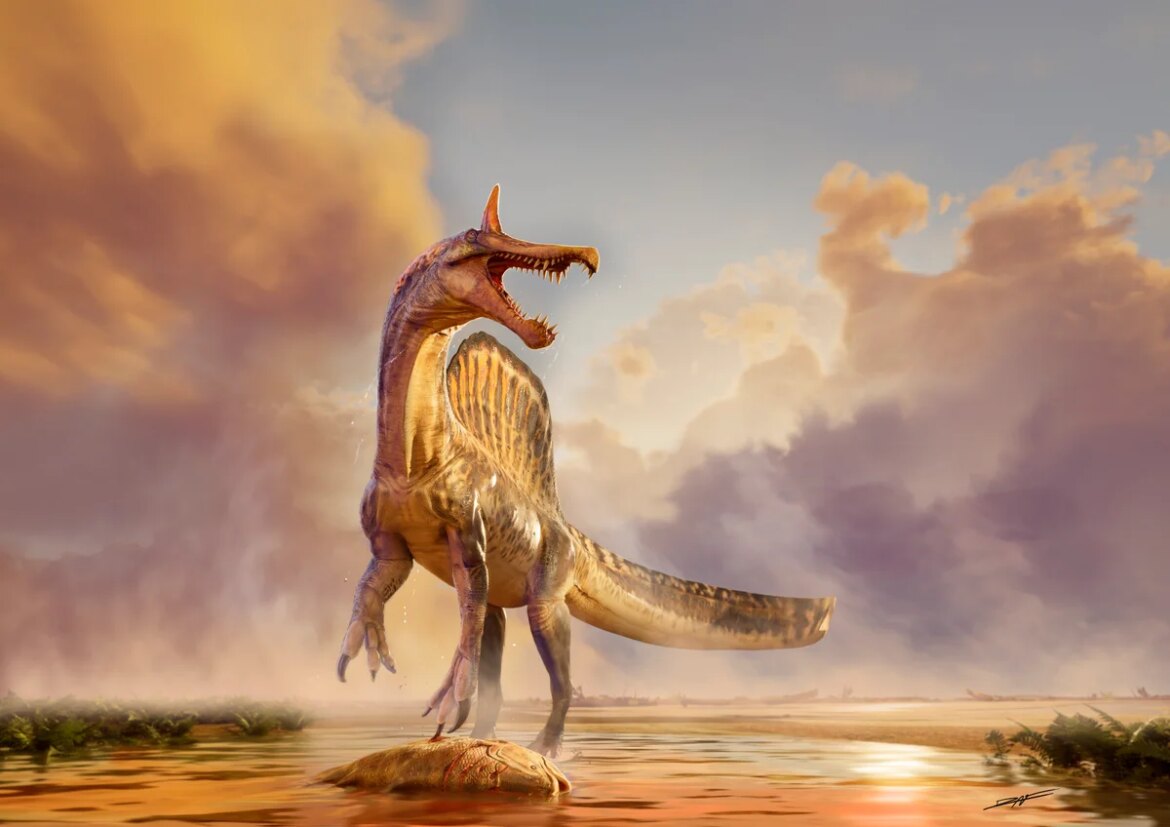 Newly discovered horned dinosaur was like a unicorn from hell

