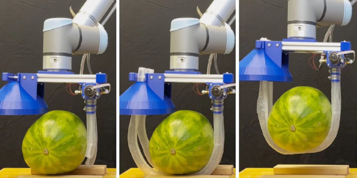 Robot's fingers inspired by vine can reach out and grab someone

