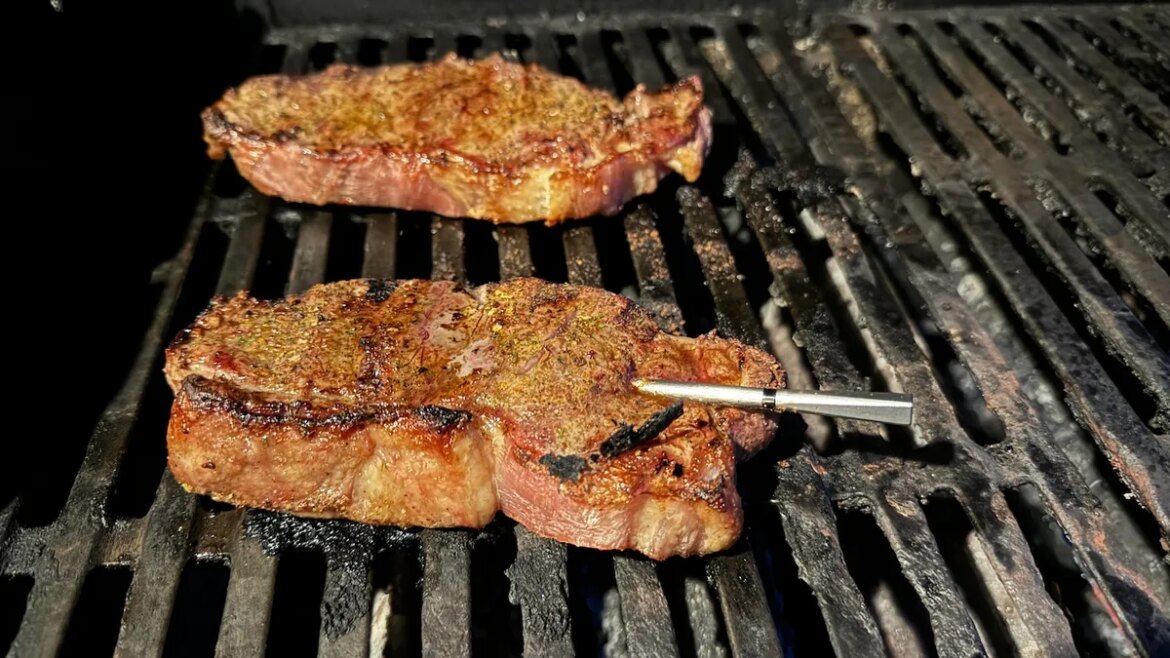 Stop gambling with your food: This $130 gadget took the worry out of cooking for me

