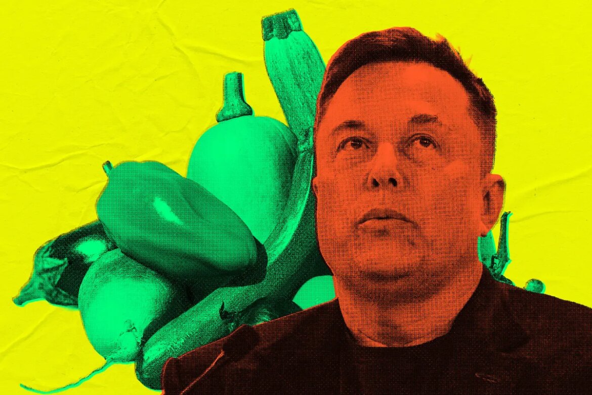 The US government has deployed Elon Musk's Grok as a nutrition bot, where it instantly provides advice for rectal consumption of vegetables.


