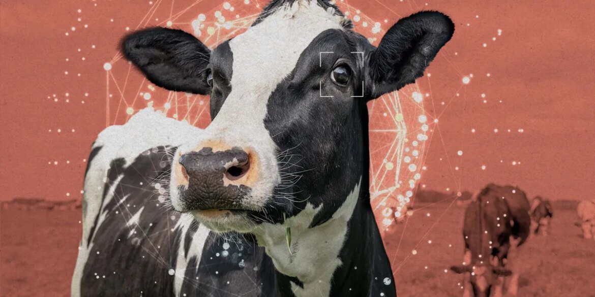 Download: Animal welfare gets an AGI-plating, and the White House reveals its AI policy

