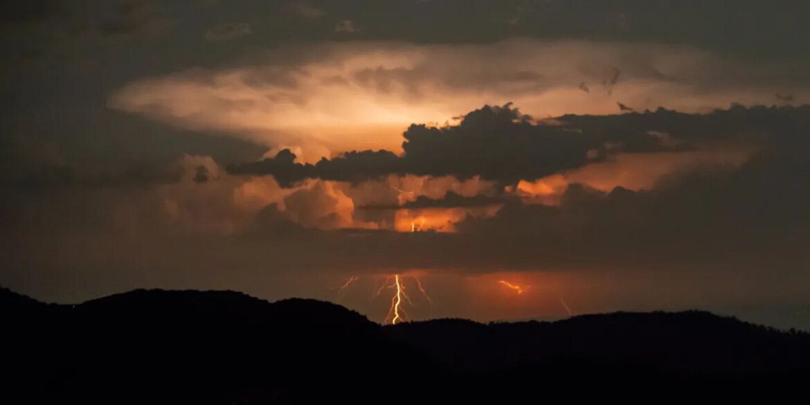 How much is forest fire prevention?

