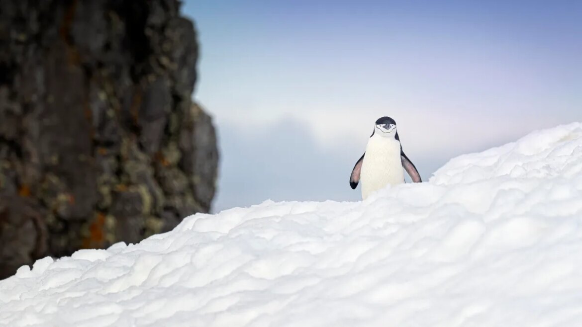 I Used Omega Linux to Revive a Junk PC, and It's Much Better Than Ubuntu

